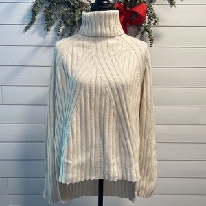 Agnona Cashmere Turtleneck Sweater